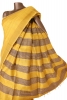 Handloom Pure Tussar Silk Saree